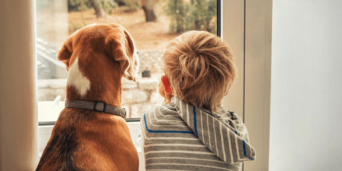 Supporting your child with the death of a pet
