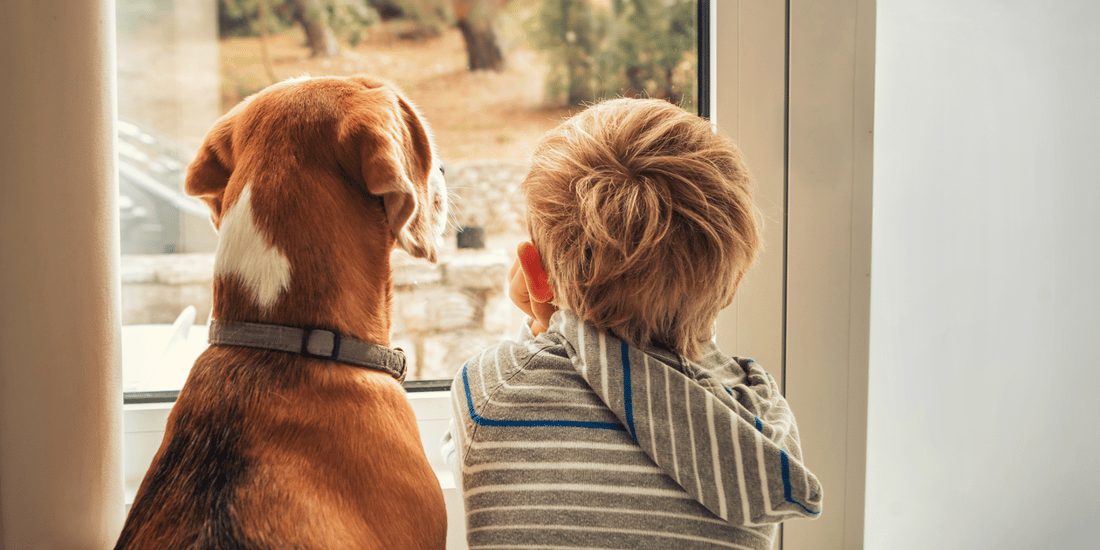 Supporting your child with the death of a pet