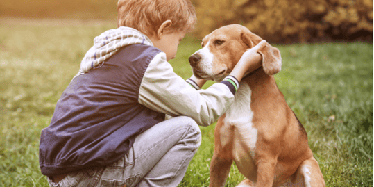 young boy and his dog (1)